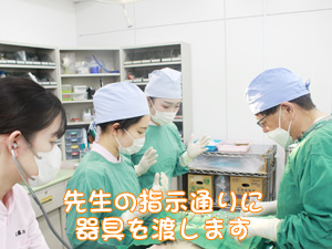 ☆去勢手術実習☆
